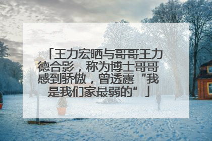 王力宏晒与哥哥王力德合影，称为博士哥哥感到骄傲，曾透露“我是我们家最弱的”