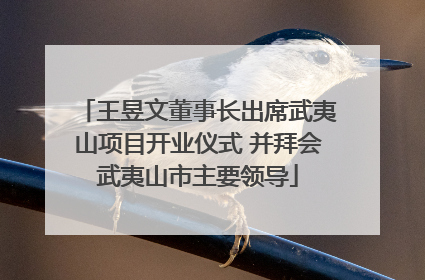 王昱文董事长出席武夷山项目开业仪式 并拜会武夷山市主要领导