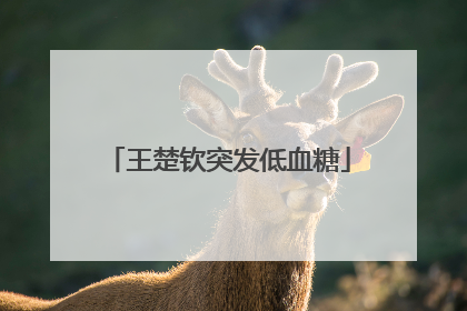 王楚钦突发低血糖
