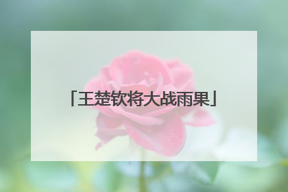 王楚钦将大战雨果