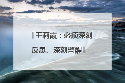王莉霞：必须深刻反思、深刻警醒
