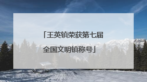 王英镇荣获第七届全国文明镇称号
