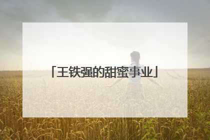 王铁强的甜蜜事业