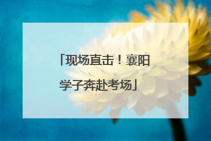 现场直击！襄阳学子奔赴考场