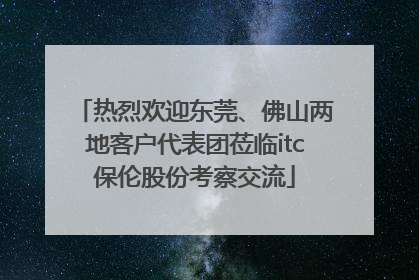 热烈欢迎东莞、佛山两地客户代表团莅临itc保伦股份考察交流