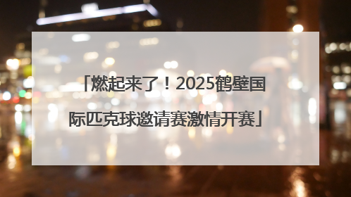燃起来了！2025鹤壁国际匹克球邀请赛激情开赛