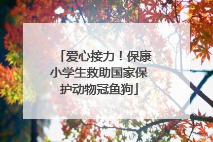 爱心接力！保康小学生救助国家保护动物冠鱼狗