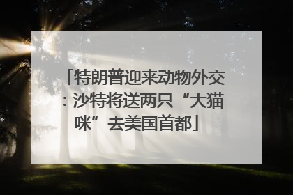 特朗普迎来动物外交：沙特将送两只“大猫咪”去美国首都