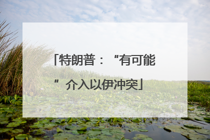 特朗普：“有可能”介入以伊冲突