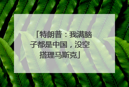 特朗普：我满脑子都是中国，没空搭理马斯克