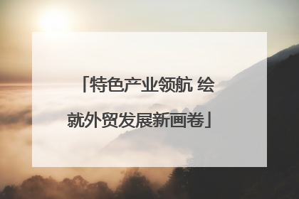 特色产业领航 绘就外贸发展新画卷