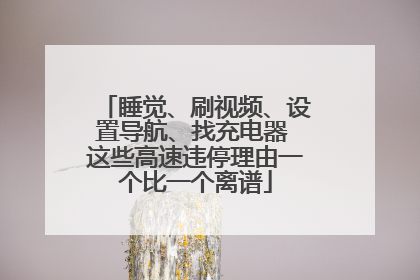 睡觉、刷视频、设置导航、找充电器 这些高速违停理由一个比一个离谱