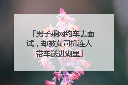 男子乘网约车去面试，却被女司机连人带车送进湖里