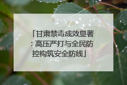 甘肃禁毒成效显著：高压严打与全民防控构筑安全防线