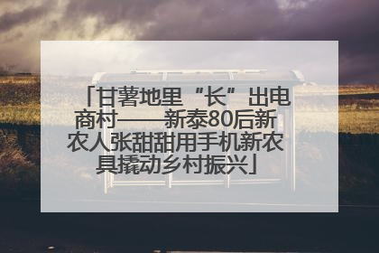 甘薯地里“长”出电商村——新泰80后新农人张甜甜用手机新农具撬动乡村振兴