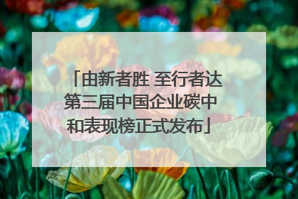 由新者胜 至行者达 第三届中国企业碳中和表现榜正式发布