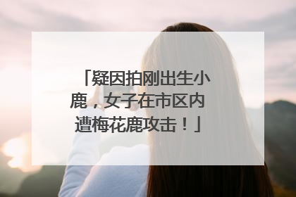 疑因拍刚出生小鹿，女子在市区内遭梅花鹿攻击！
