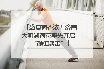 盛夏荷香浓！济南大明湖荷花率先开启“颜值暴击”