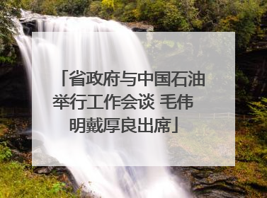 省政府与中国石油举行工作会谈 毛伟明戴厚良出席