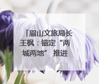 眉山文旅局长王枫：锚定“两城两地” 推进眉山文旅融合高质量发展｜文旅局长说
