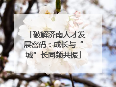 破解济南人才发展密码：成长与“城”长同频共振