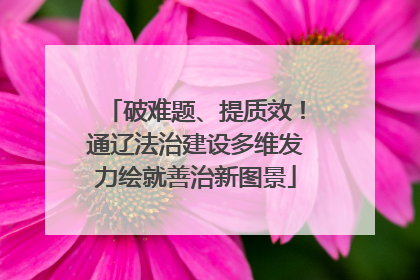 破难题、提质效！通辽法治建设多维发力绘就善治新图景