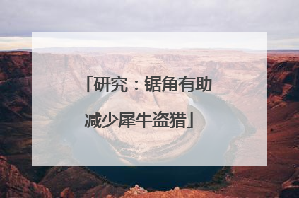 研究：锯角有助减少犀牛盗猎