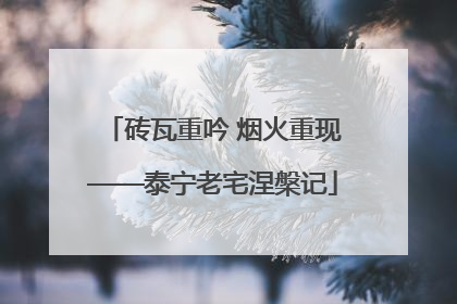 砖瓦重吟 烟火重现——泰宁老宅涅槃记