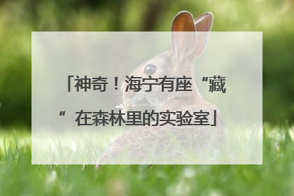 神奇！海宁有座“藏”在森林里的实验室