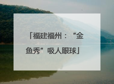福建福州：“金鱼秀”吸人眼球