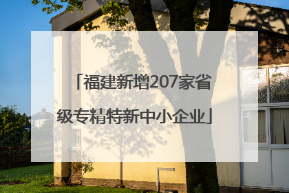 福建新增207家省级专精特新中小企业