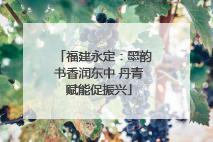 福建永定：墨韵书香润东中 丹青赋能促振兴