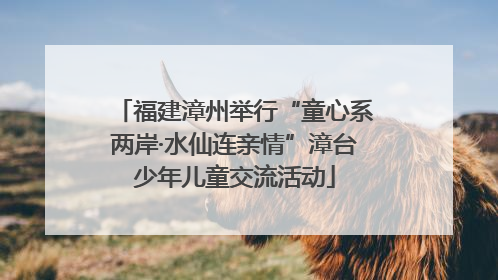 福建漳州举行“童心系两岸·水仙连亲情”漳台少年儿童交流活动