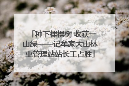 种下棵棵树 收获一山绿——记牟家大山林业管理站站长王占胜