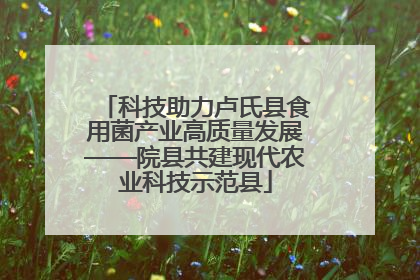 科技助力卢氏县食用菌产业高质量发展——院县共建现代农业科技示范县