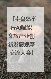 秦皇岛举行AI赋能文旅产业创新发展观摩交流大会
