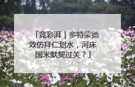 竞彩湃｜多特蒙德效仿拜仁划水，河床国米默契过关？