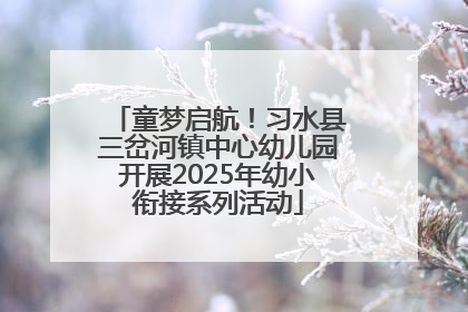 童梦启航！习水县三岔河镇中心幼儿园开展2025年幼小衔接系列活动