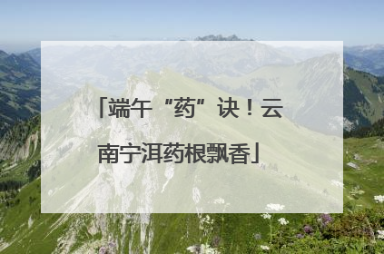端午“药”诀！云南宁洱药根飘香