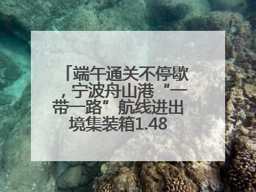 端午通关不停歇，宁波舟山港“一带一路”航线进出境集装箱1.48万标箱