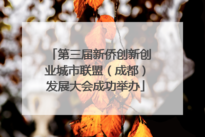 第三届新侨创新创业城市联盟（成都）发展大会成功举办