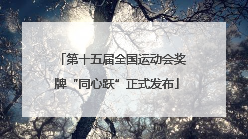 第十五届全国运动会奖牌“同心跃”正式发布