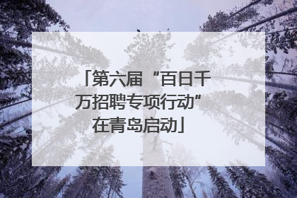 第六届“百日千万招聘专项行动”在青岛启动