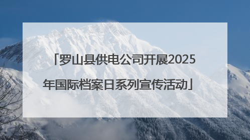 罗山县供电公司开展2025年国际档案日系列宣传活动