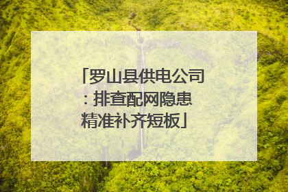 罗山县供电公司：排查配网隐患 精准补齐短板