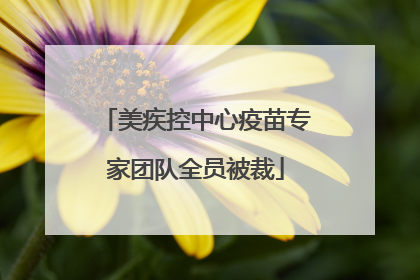 美疾控中心疫苗专家团队全员被裁