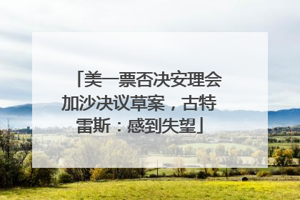 美一票否决安理会加沙决议草案，古特雷斯：感到失望