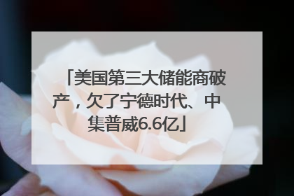 美国第三大储能商破产，欠了宁德时代、中集普威6.6亿
