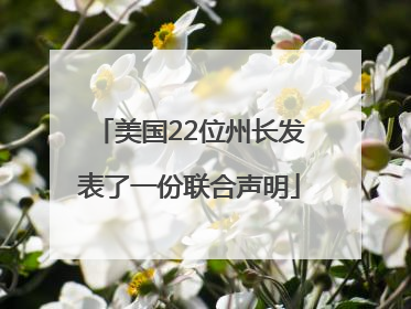 美国22位州长发表了一份联合声明