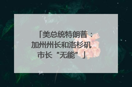 美总统特朗普：加州州长和洛杉矶市长“无能”